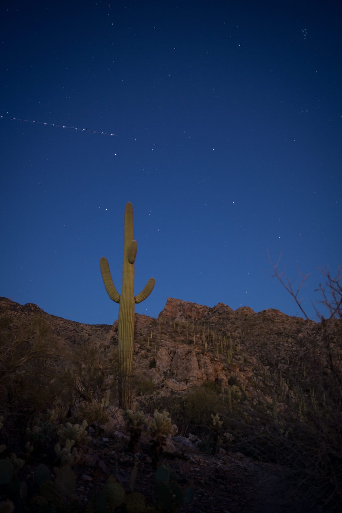 2014 January Saguaro and Pontatoc Ridge