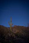 2014 January Saguaro and Pontatoc Ridge