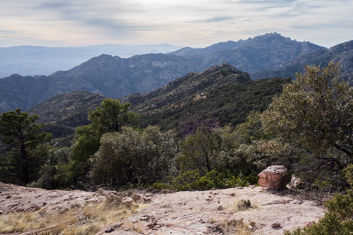 2014 January The Ridge to Brinkley Point