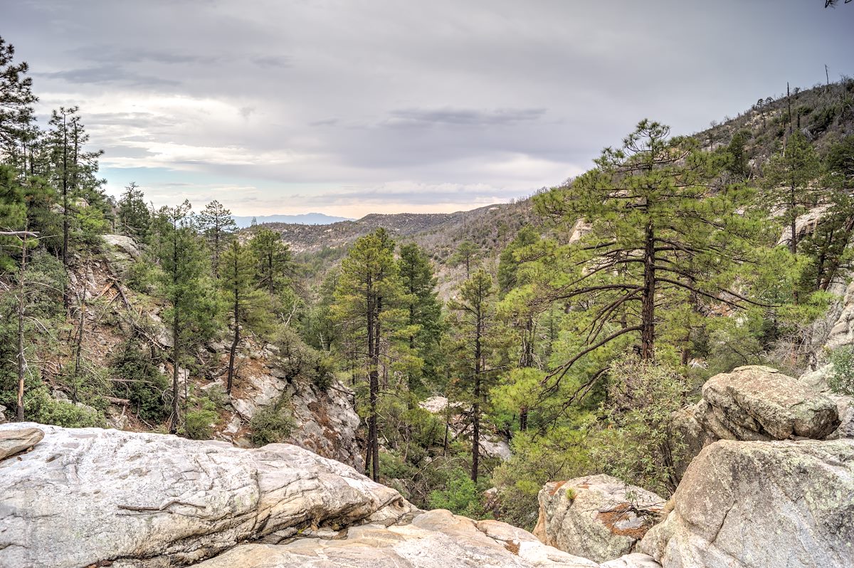 2014 July Above one of the falls in Upper Palisade Canyon