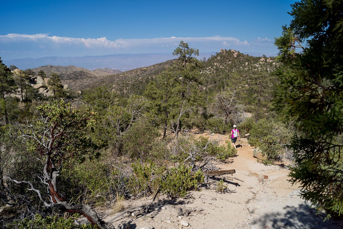2014 July Alison on the Brush Corral Trail