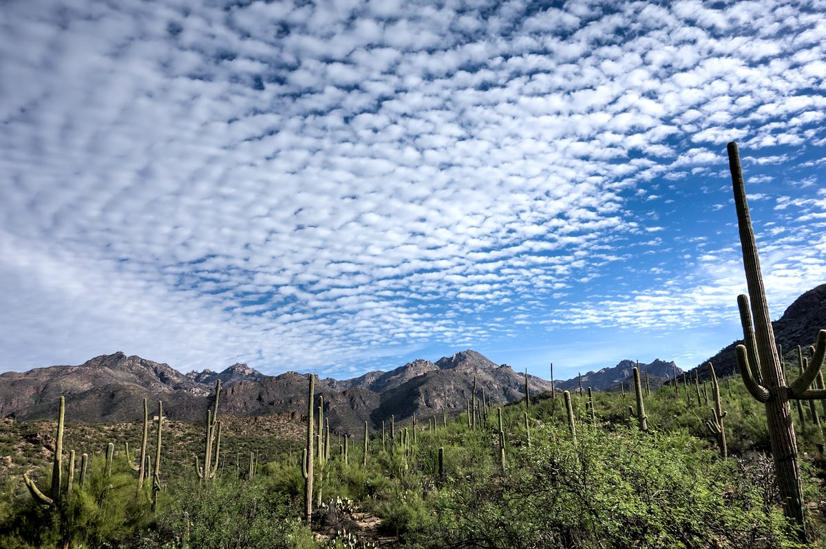 2014 July Clouds over Sabino Canyon