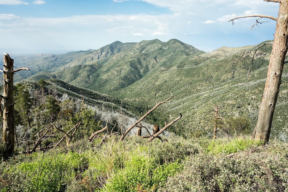 2014 July Looking down Red Ridge and over to Oracle Ridge
