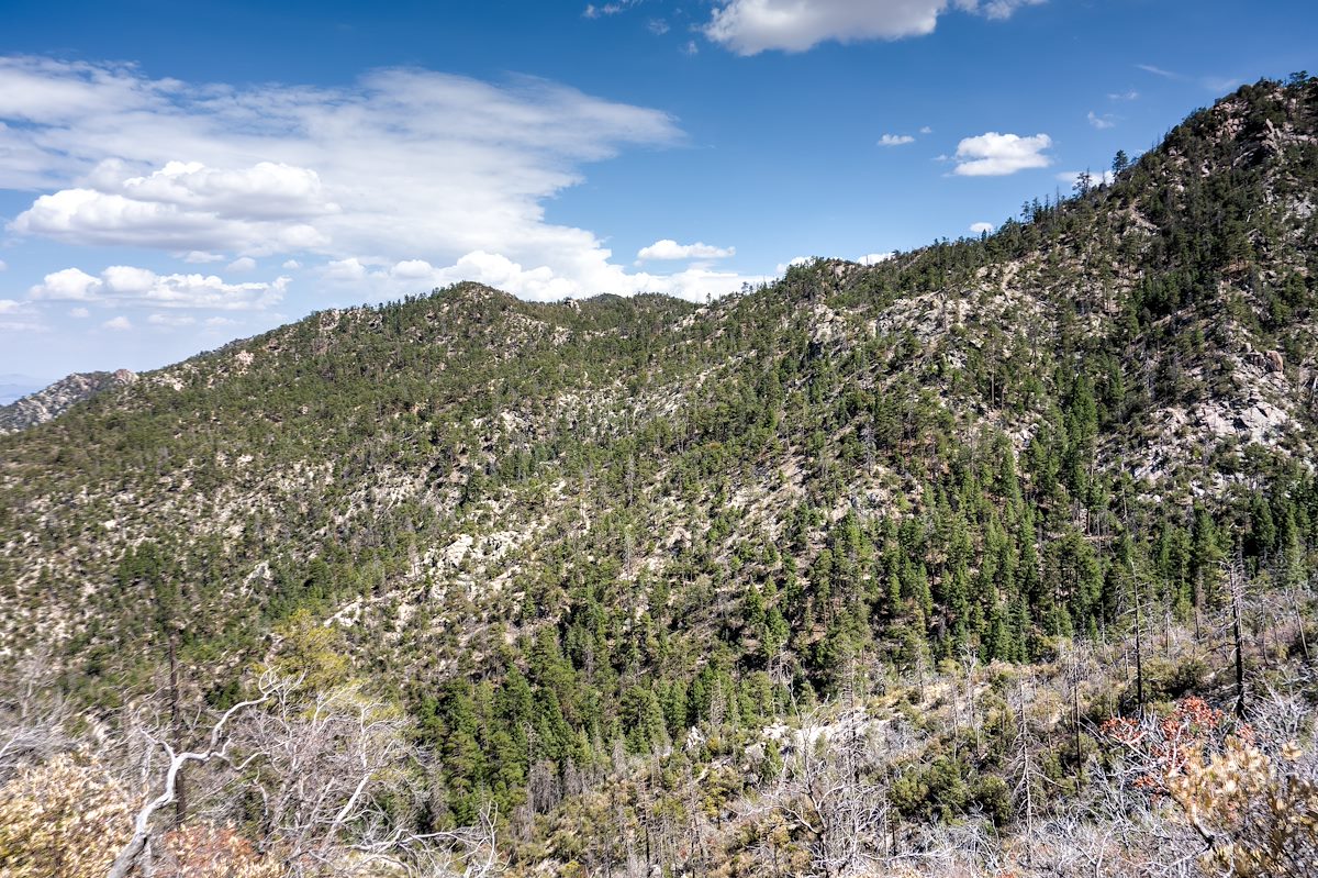 2014 July Looking Towards Guthrie Mountain