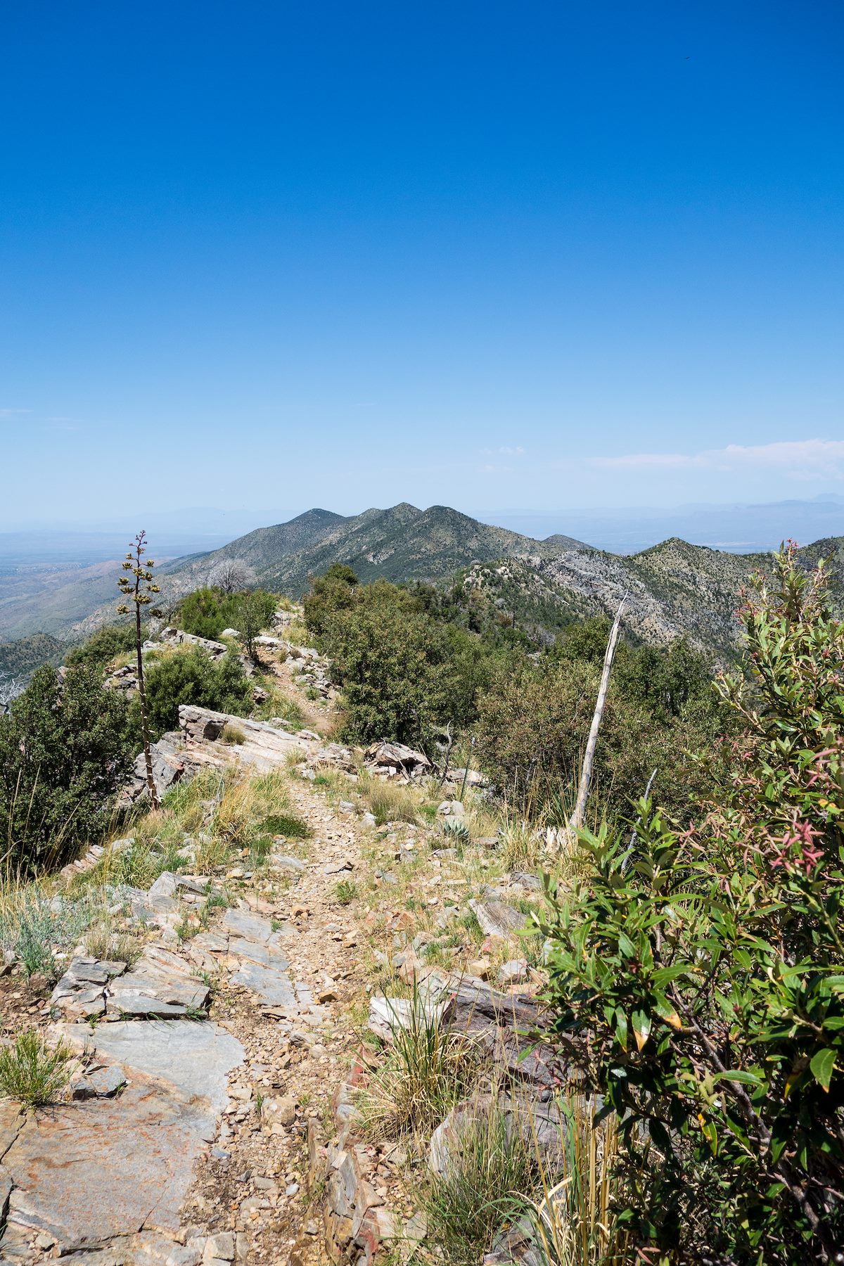 2014 July Oracle Ridge