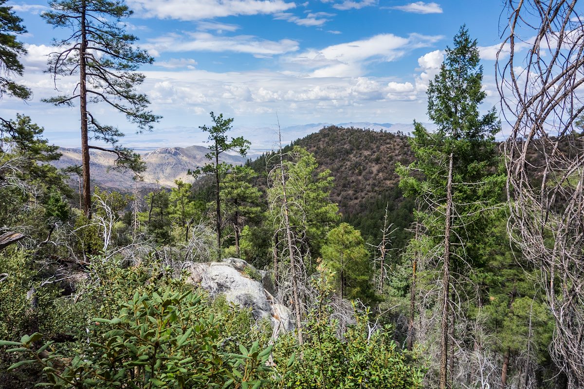 2014 July Point 6828 from the Brush Corral Trail