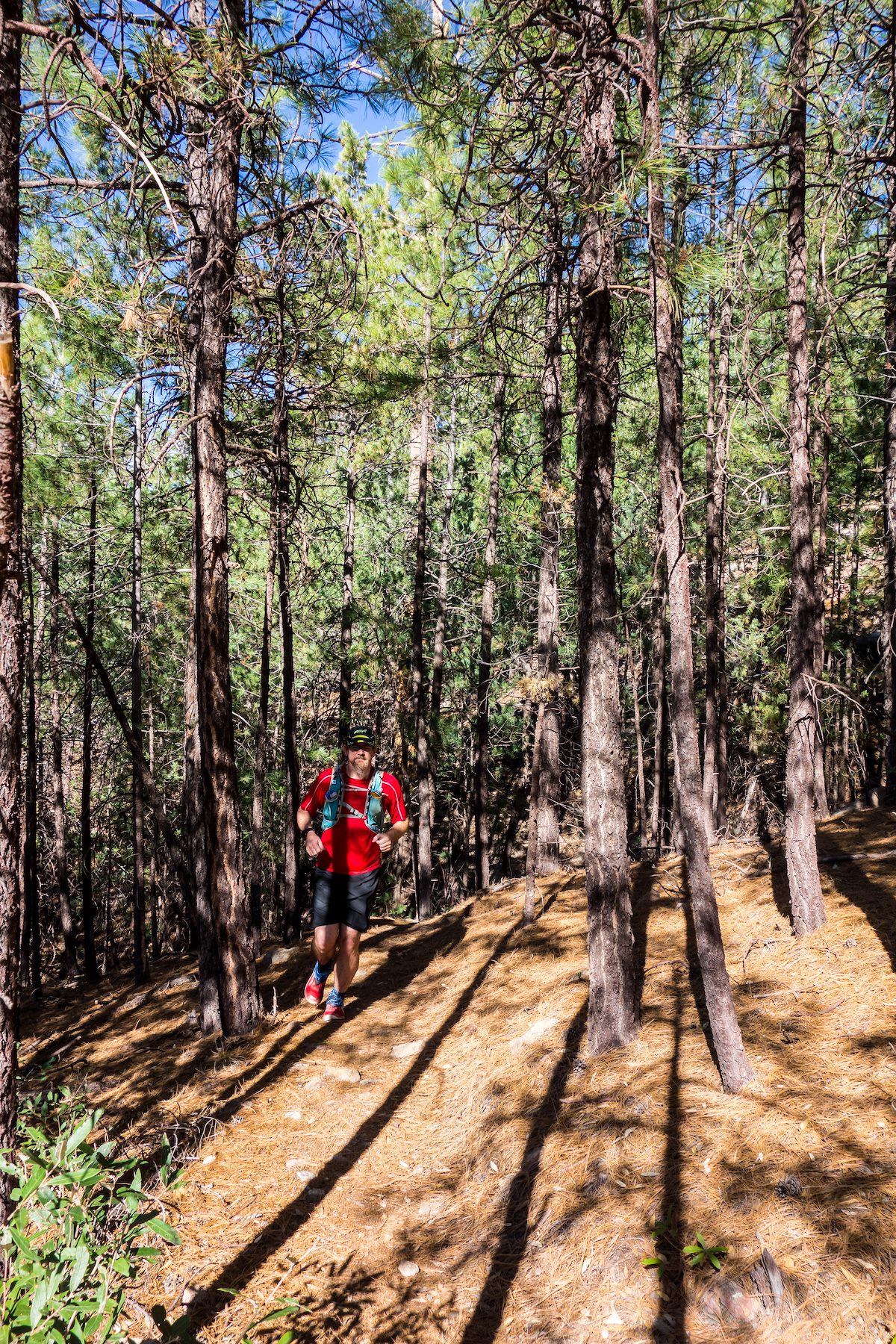 2014 July Running on the Maverick Spring Trail