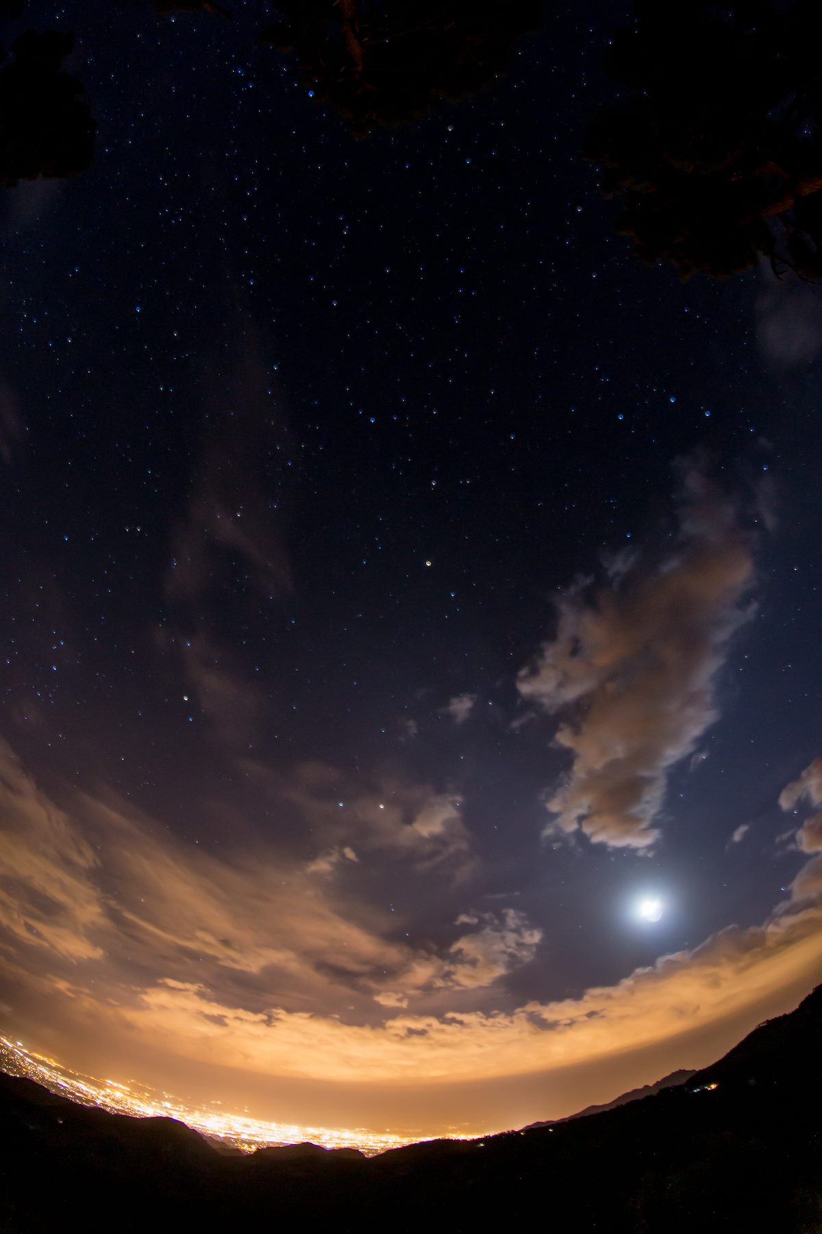 2014 July Sky from the Incinerator Ridge Trail