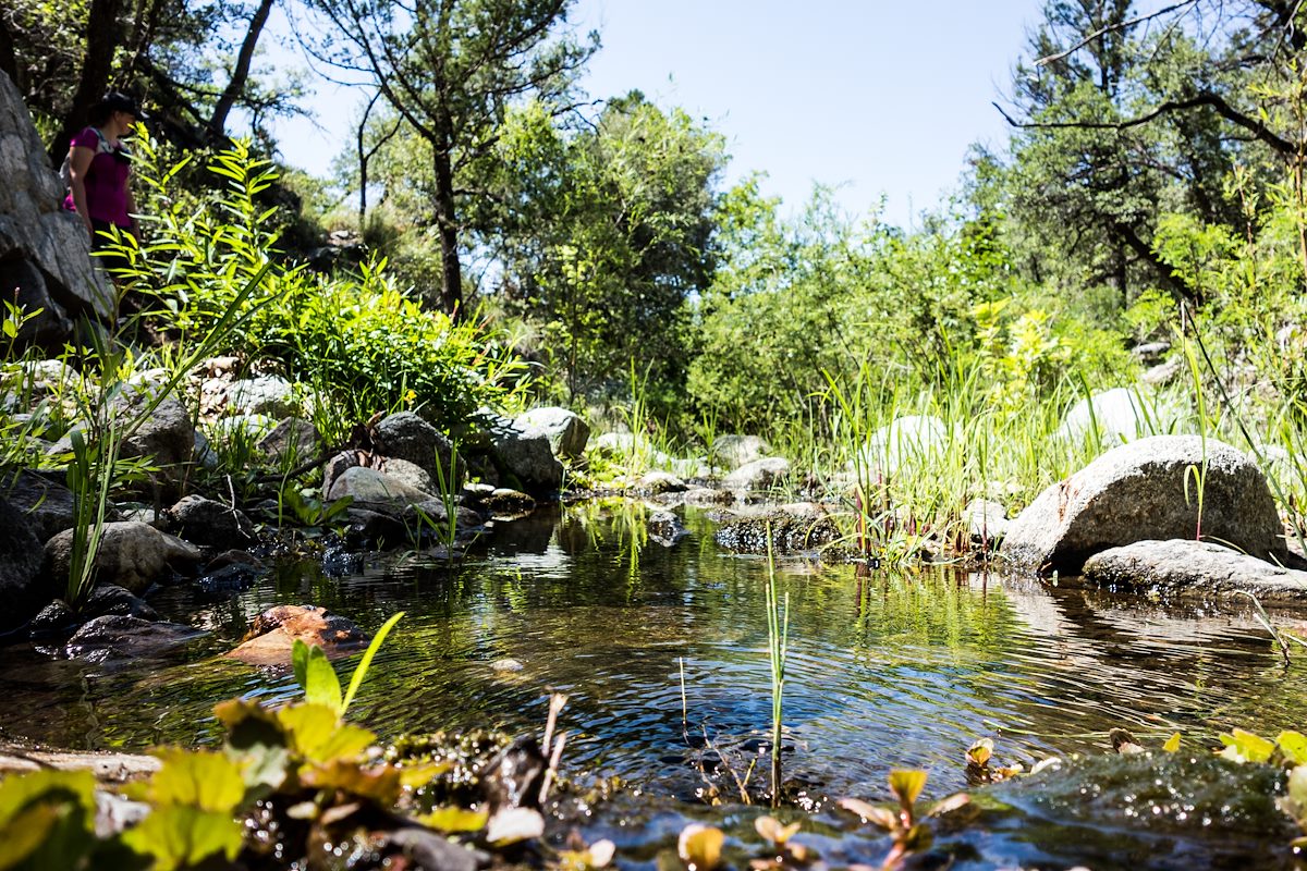 2014 July Water in the East Fork of the CDO