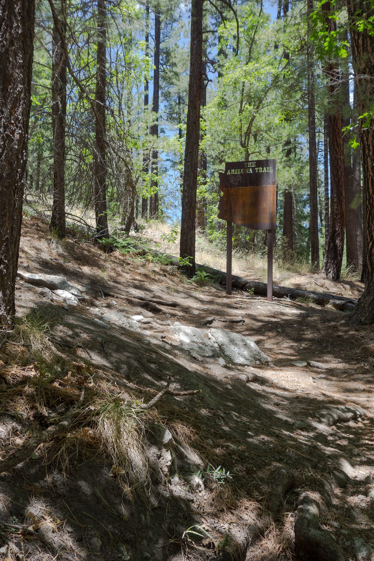 2014 June AZ Trail Sign at the start of the Marshall Gulch Trail