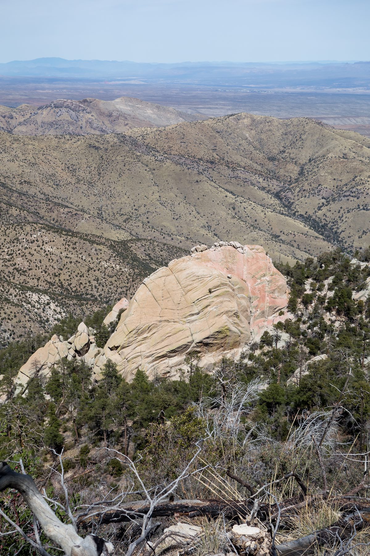 2014 March A Beautiful Fin of Rock with Evans Mountain in the Background