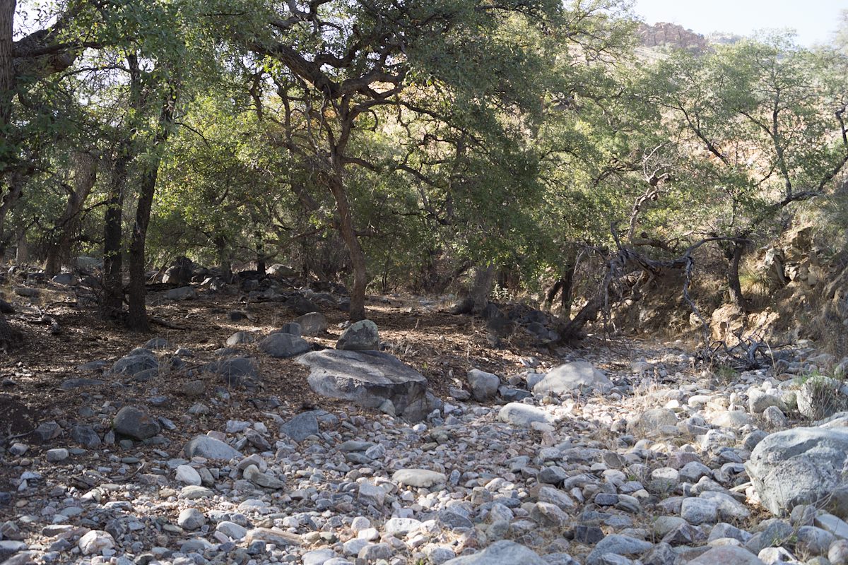 2014 March Above Araster Spring