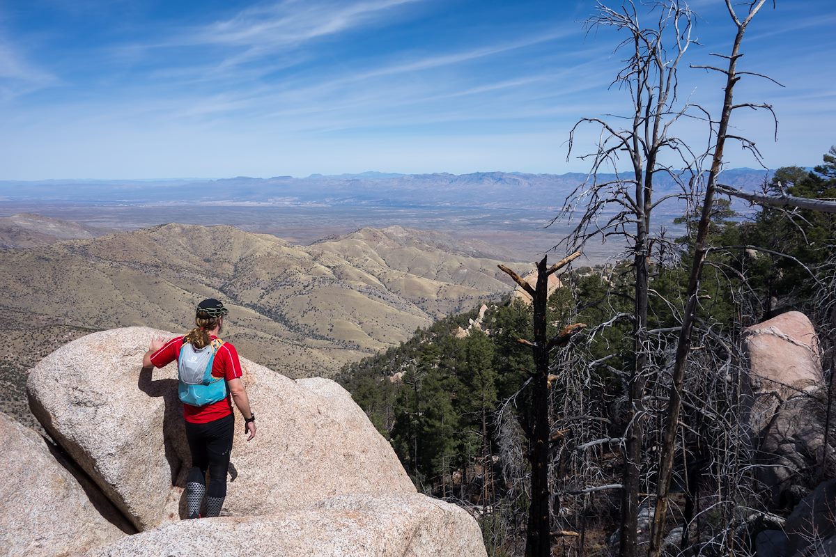 2014 March Along the Ridge East of Guthrie Mountain