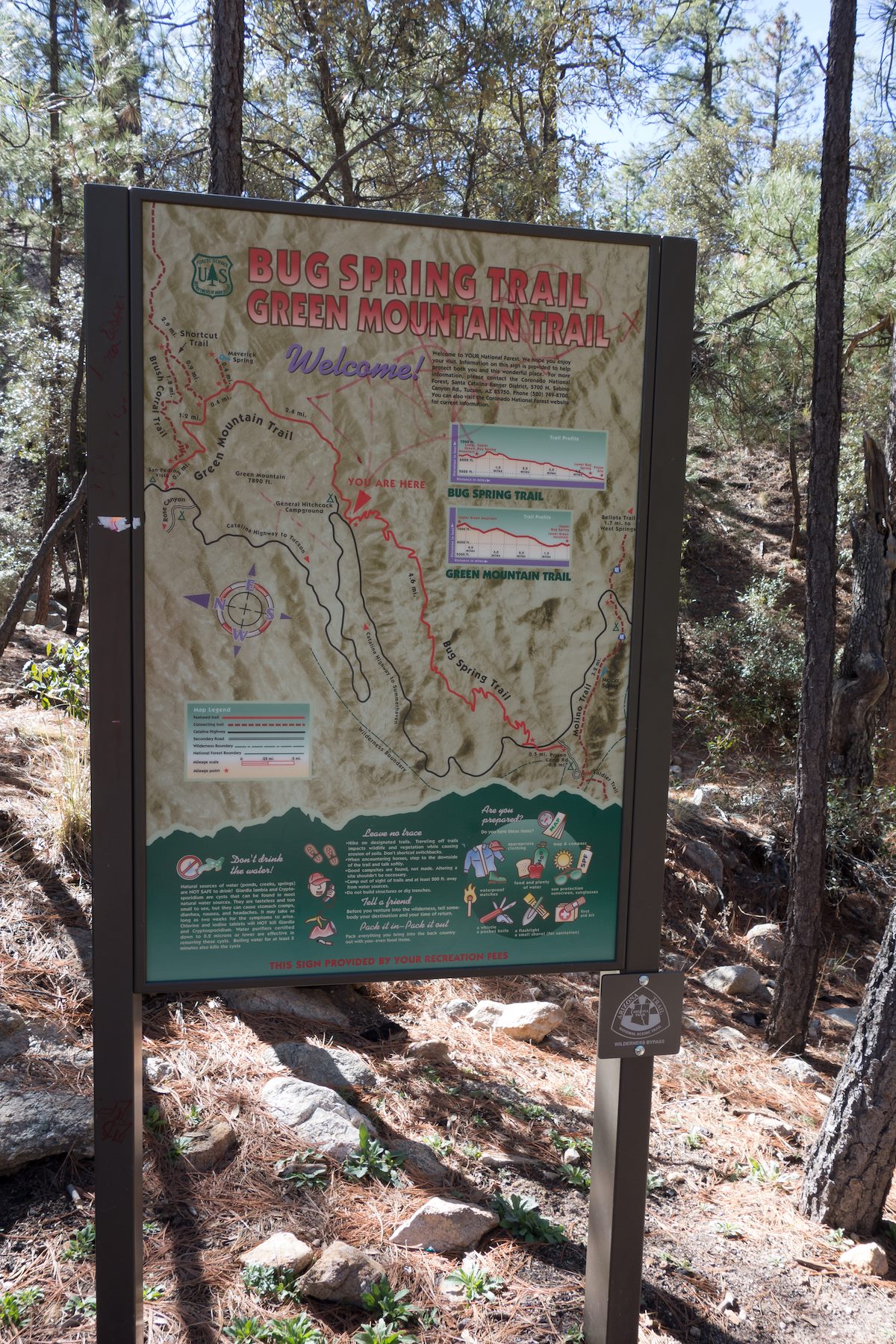 2014 March Bug Spring and Green Mountain Large Forest Service Sign