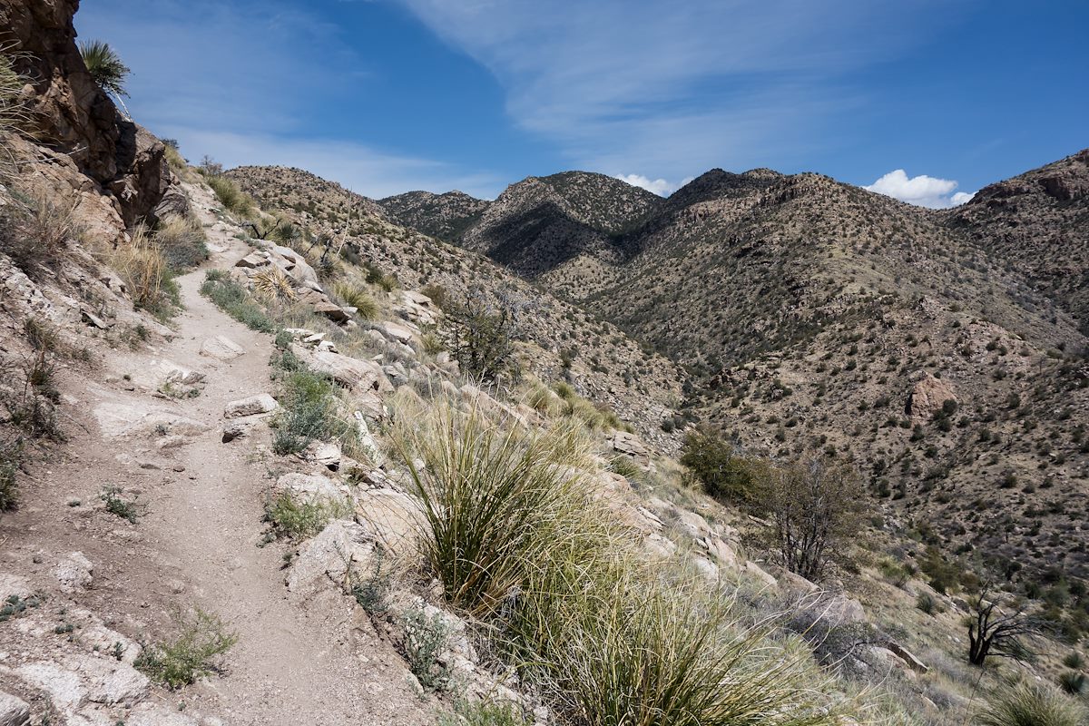 2014 March Bug Spring Trail above the Bug Spring Drainage