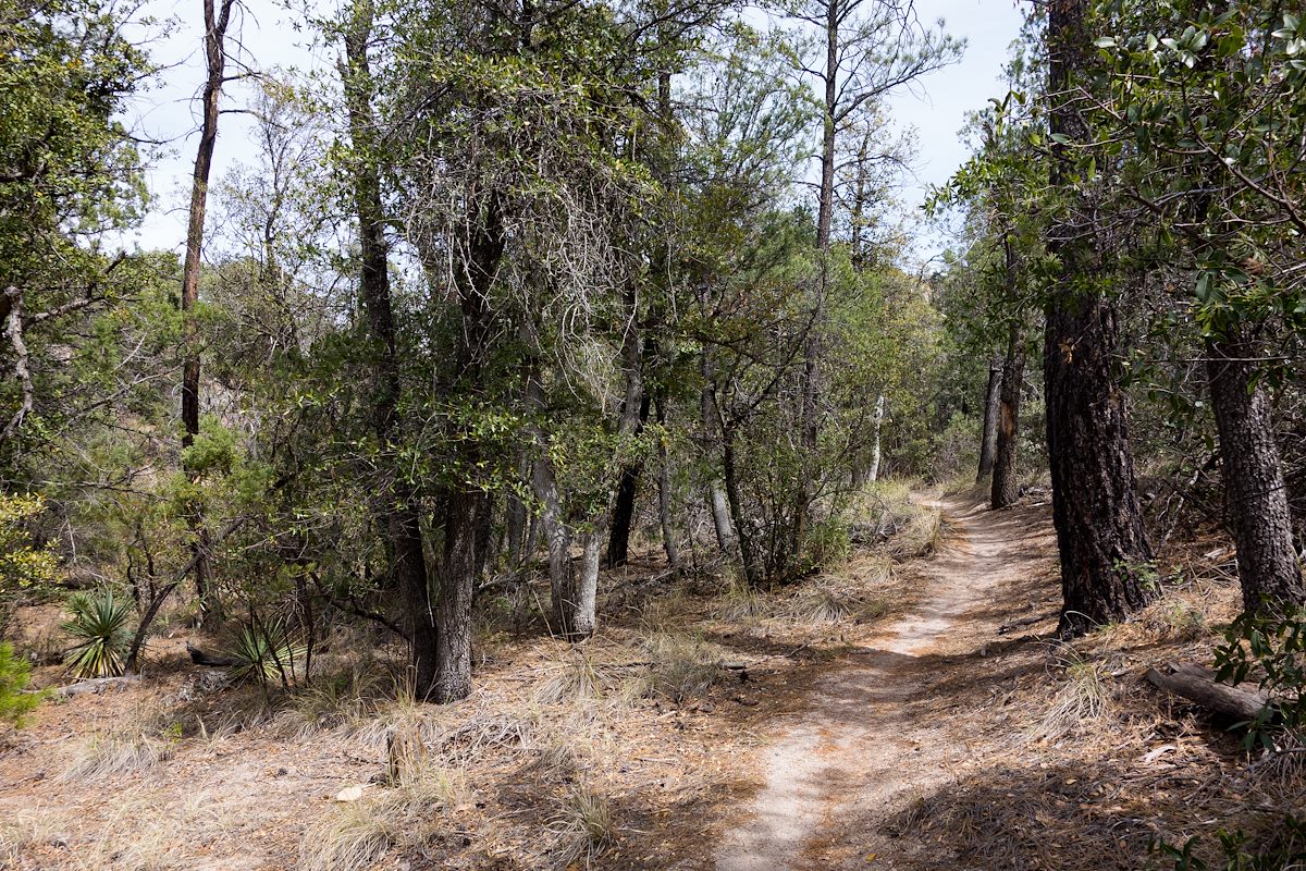 2014 March Bug Spring Trail along the drainage to the east of Bear Canyon