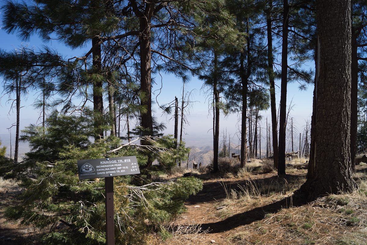 2014 March Incinerator Ridge and Knagge Trail Junction 1403