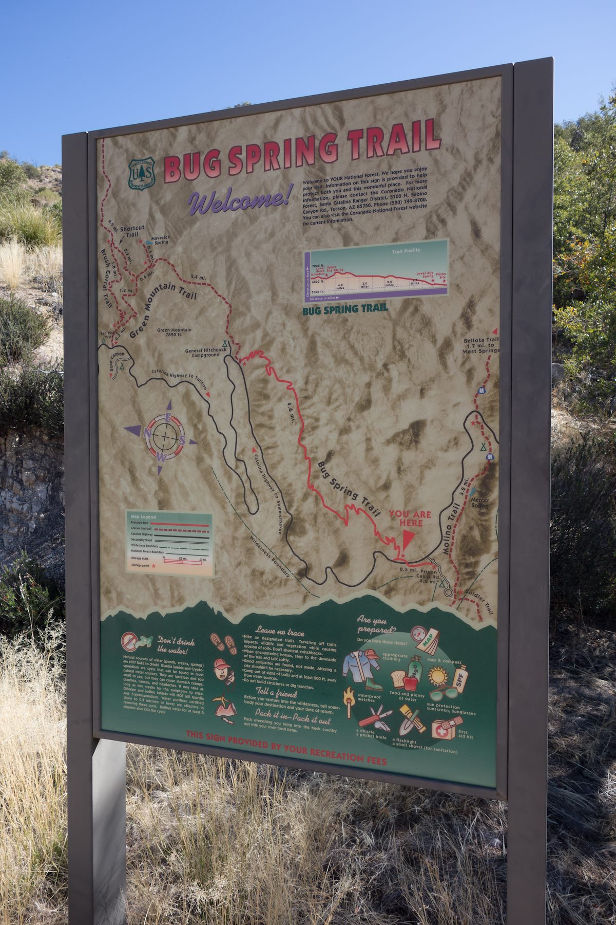 2014 March Lower Bug Spring Trail Large Forest Service Sign