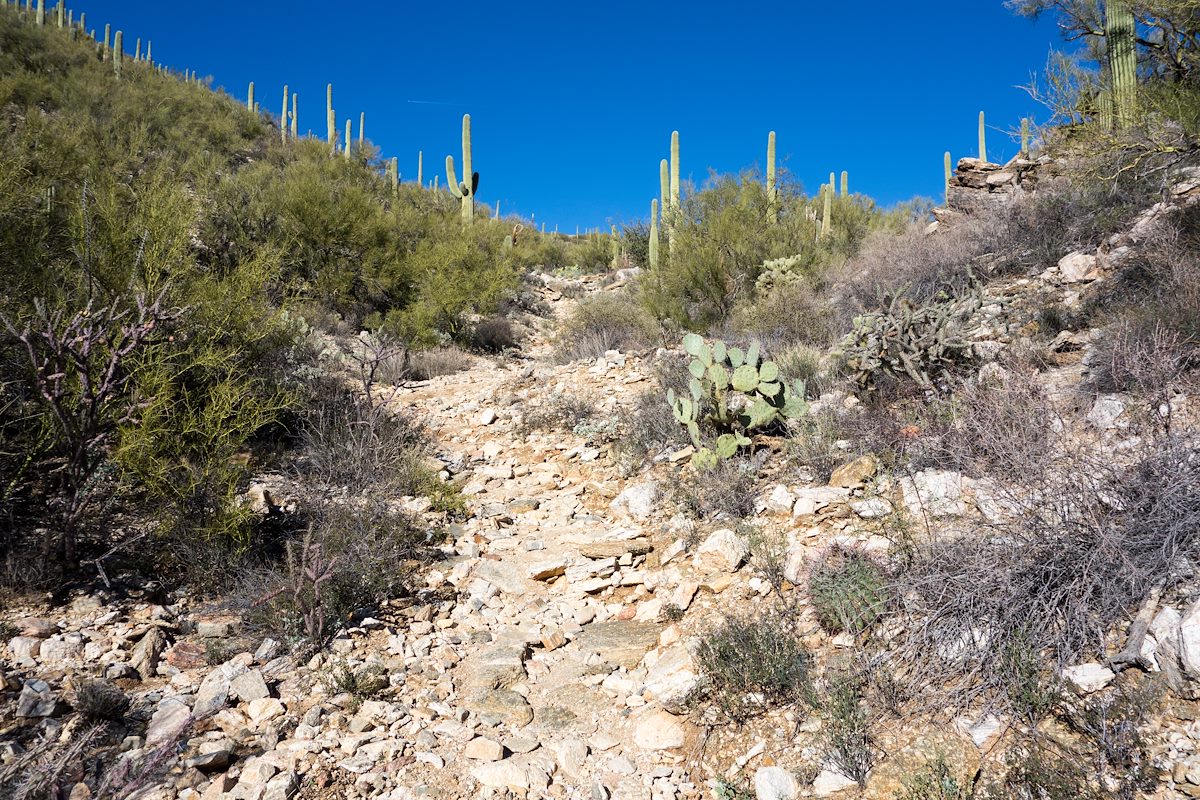 2014 March Lower section of Soldier Trail