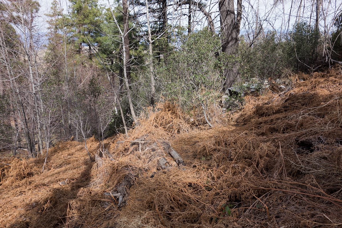 2014 March Maverick Spring Area