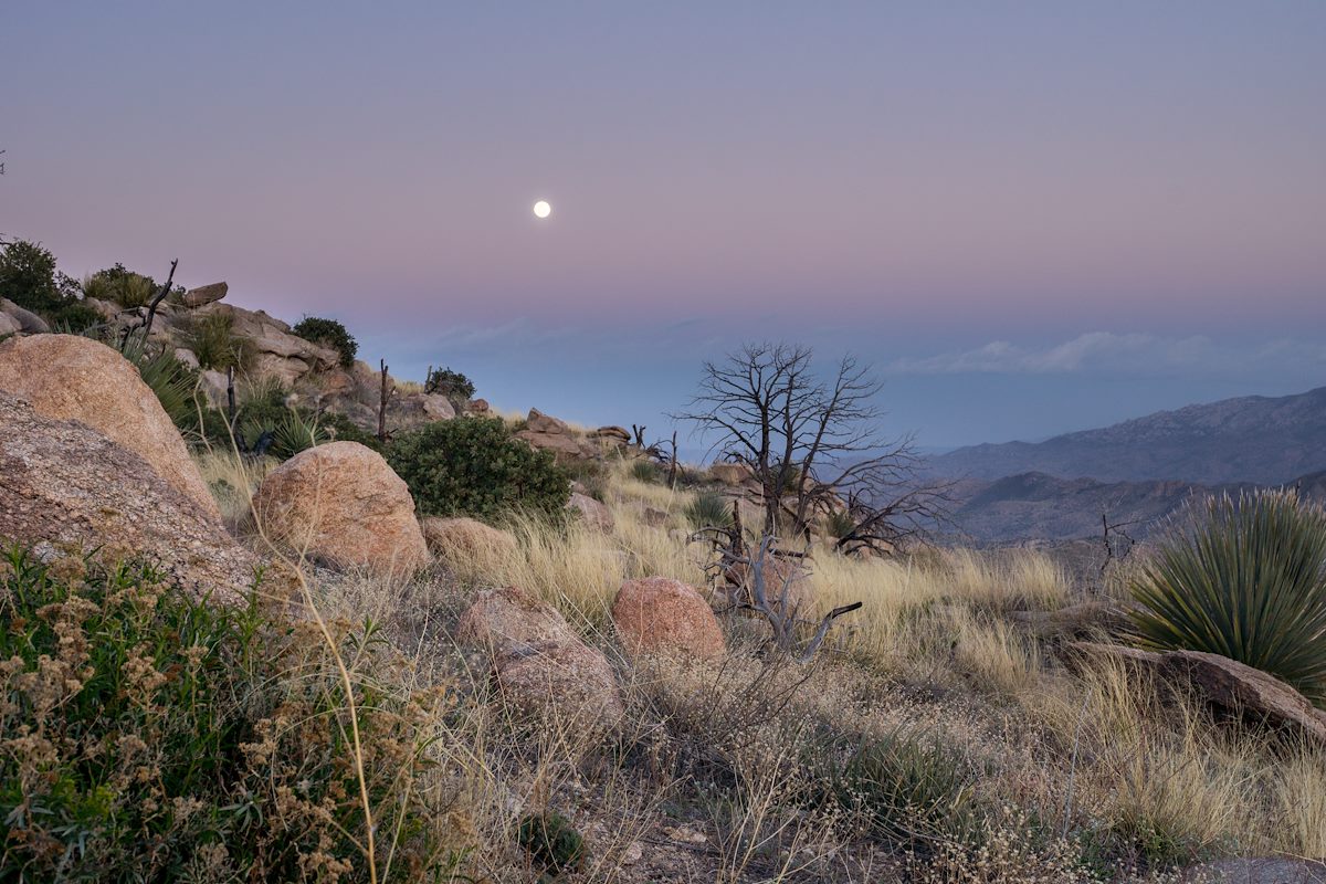 2014 March Moon from Gibbon Mountain