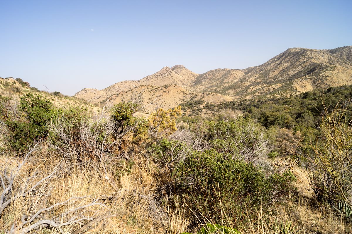 2014 March On the hillside above Araster Spring Looking towards Point 5681 and Point 6060