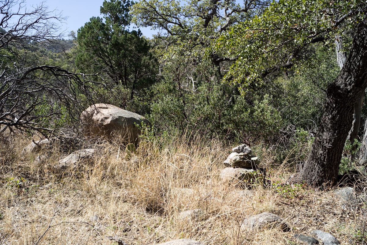2014 March One of several larger old cairns I found along the South Fork of Edgar Canyon