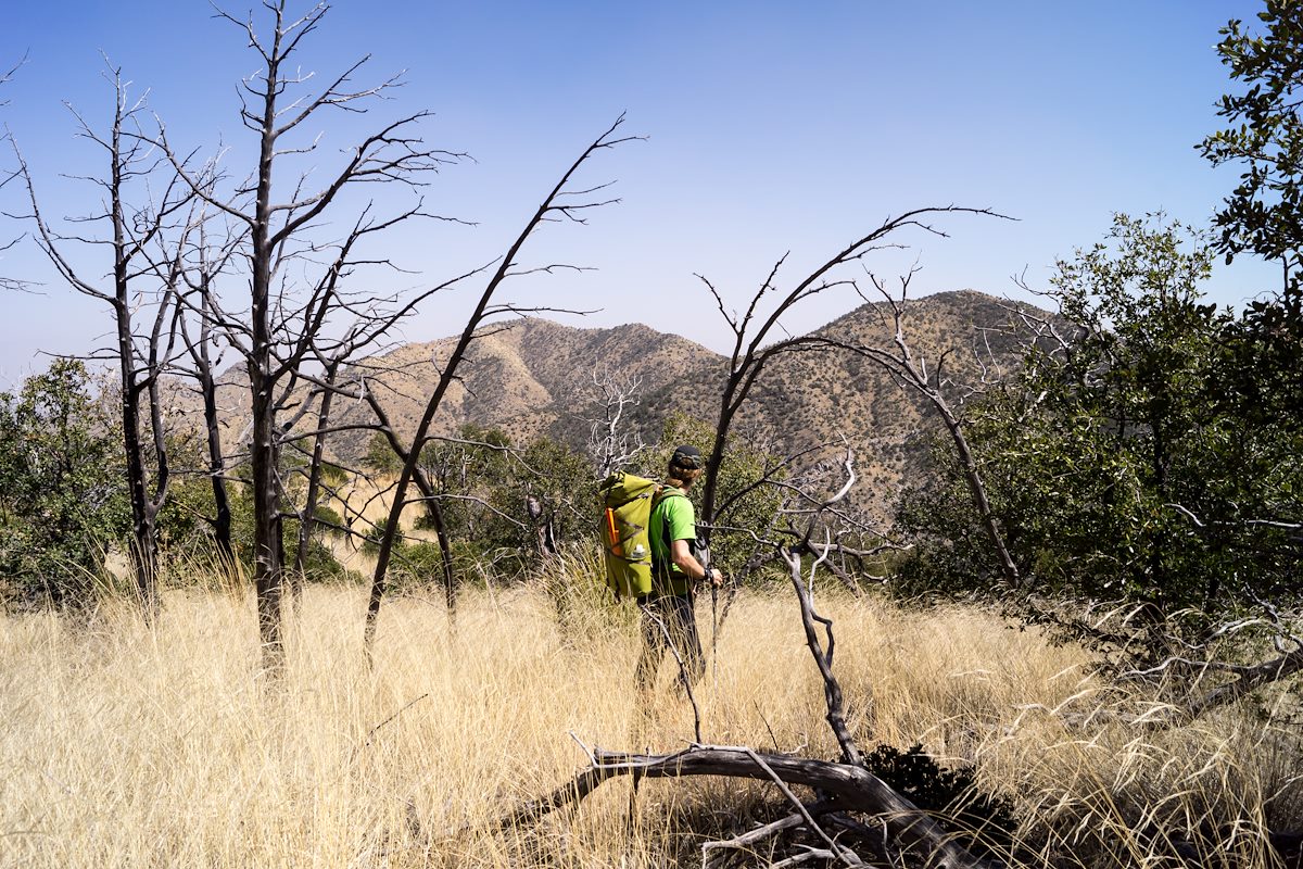 2014 March Open Grassy Area on the Ridge below the Knagge Trail