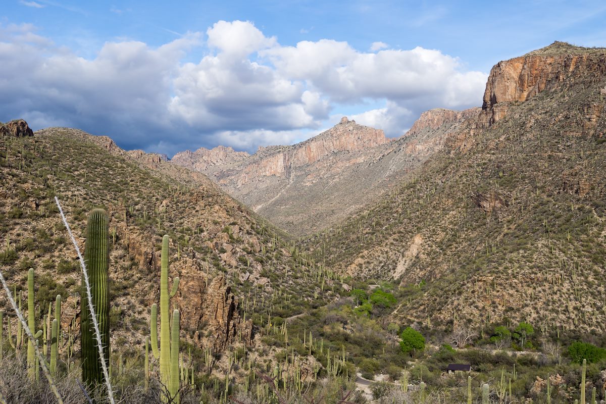 2014 March Thimble and Sabino Canyon from the Esperero Trail