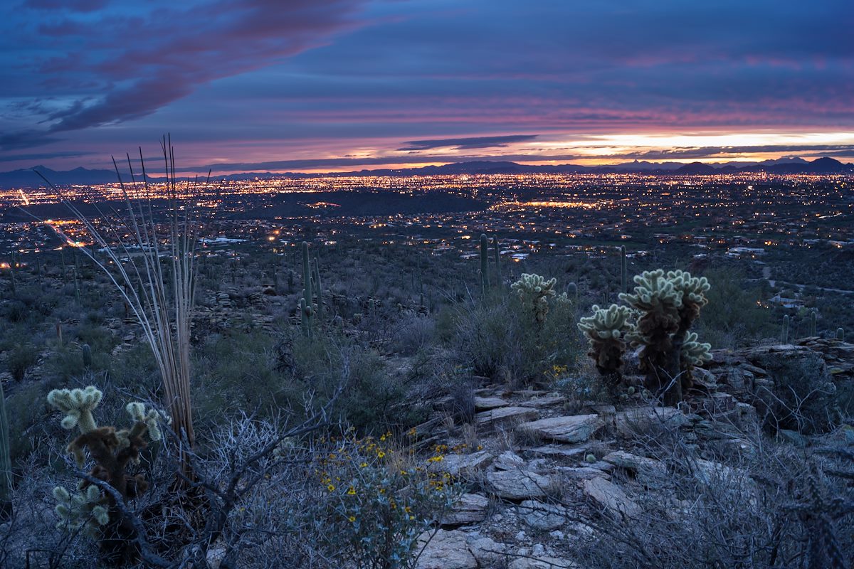 2014 March Tucson from near the Esperero Trail