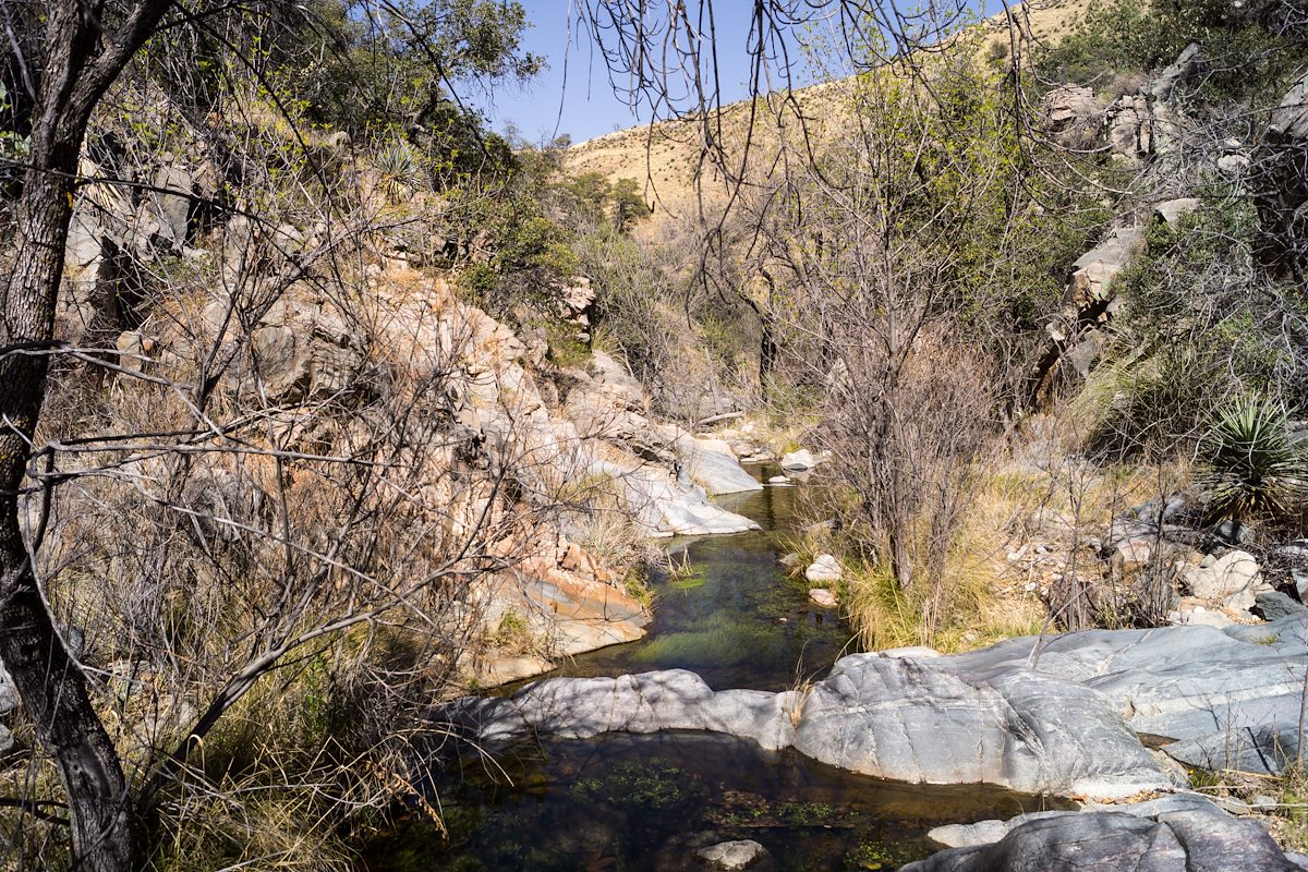2014 March Water in Granite in the South Fork of Edgar Canyon