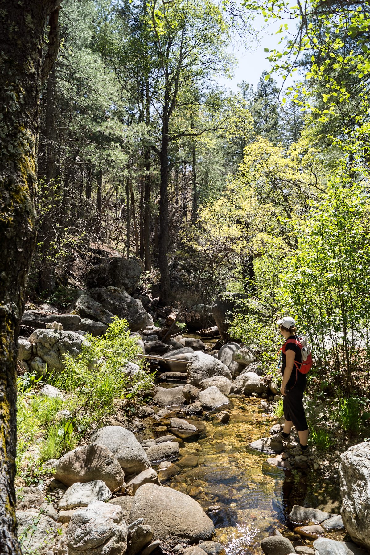 2014 May Alison along Sabino Canyon