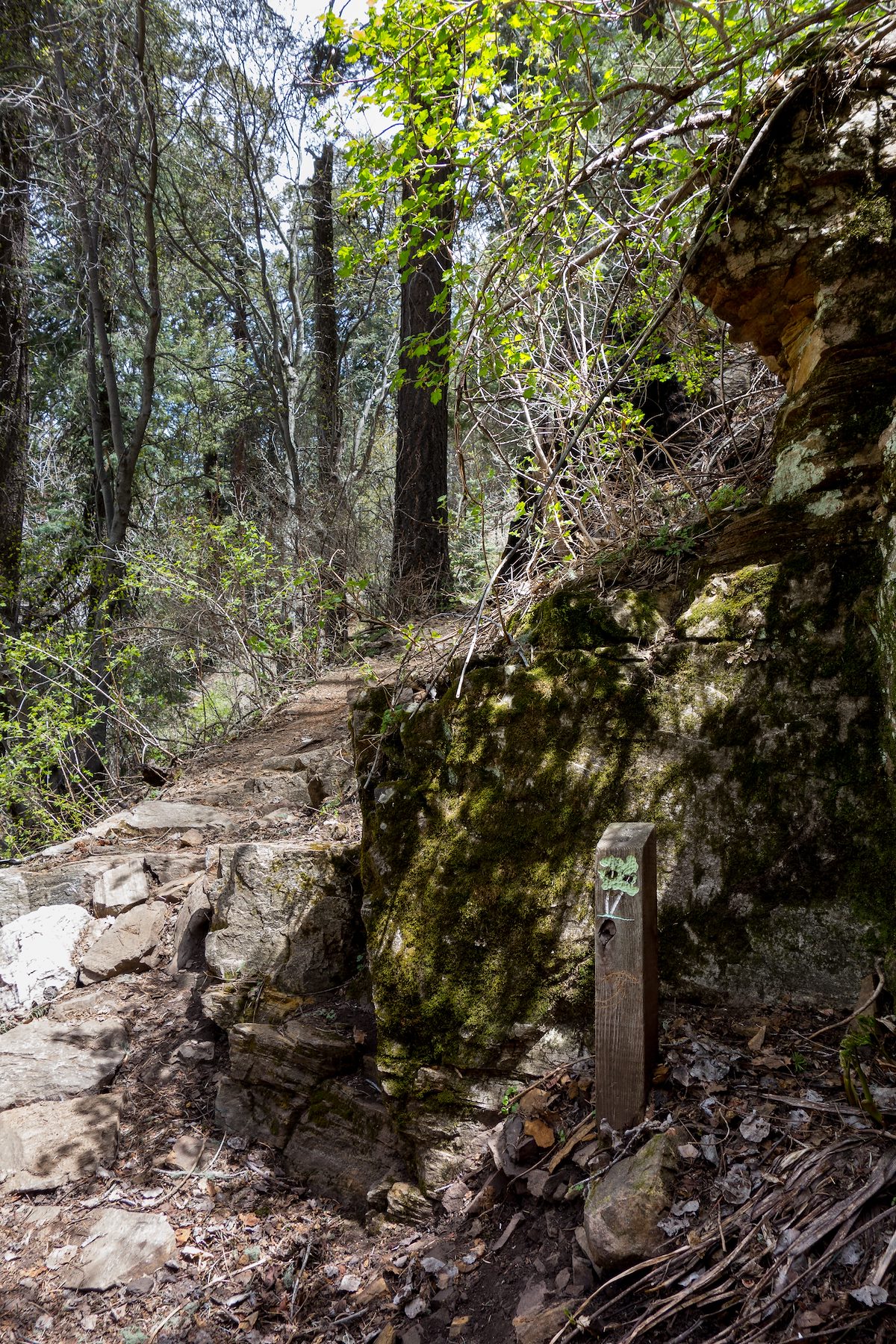 2014 May Old markers on the Aspen Draw Trail