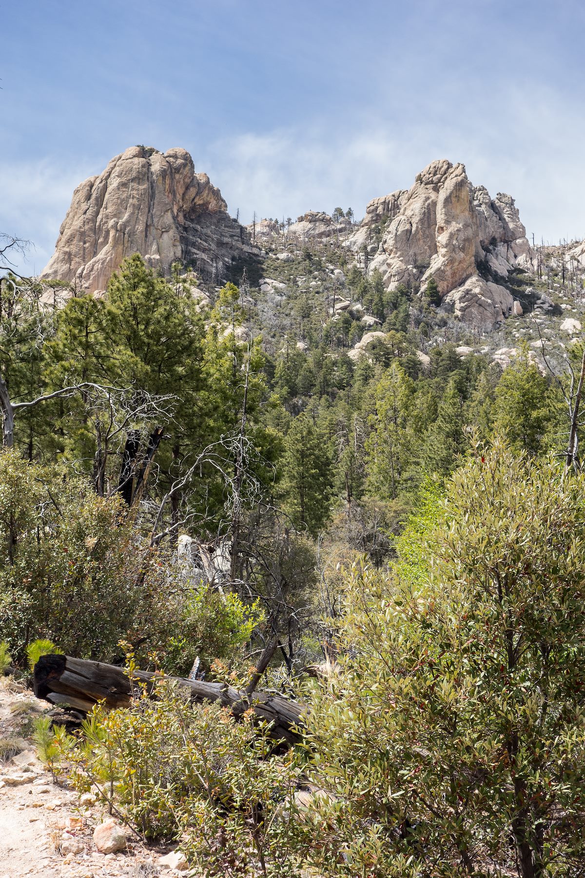 2014 May The Fortress and the Ravens