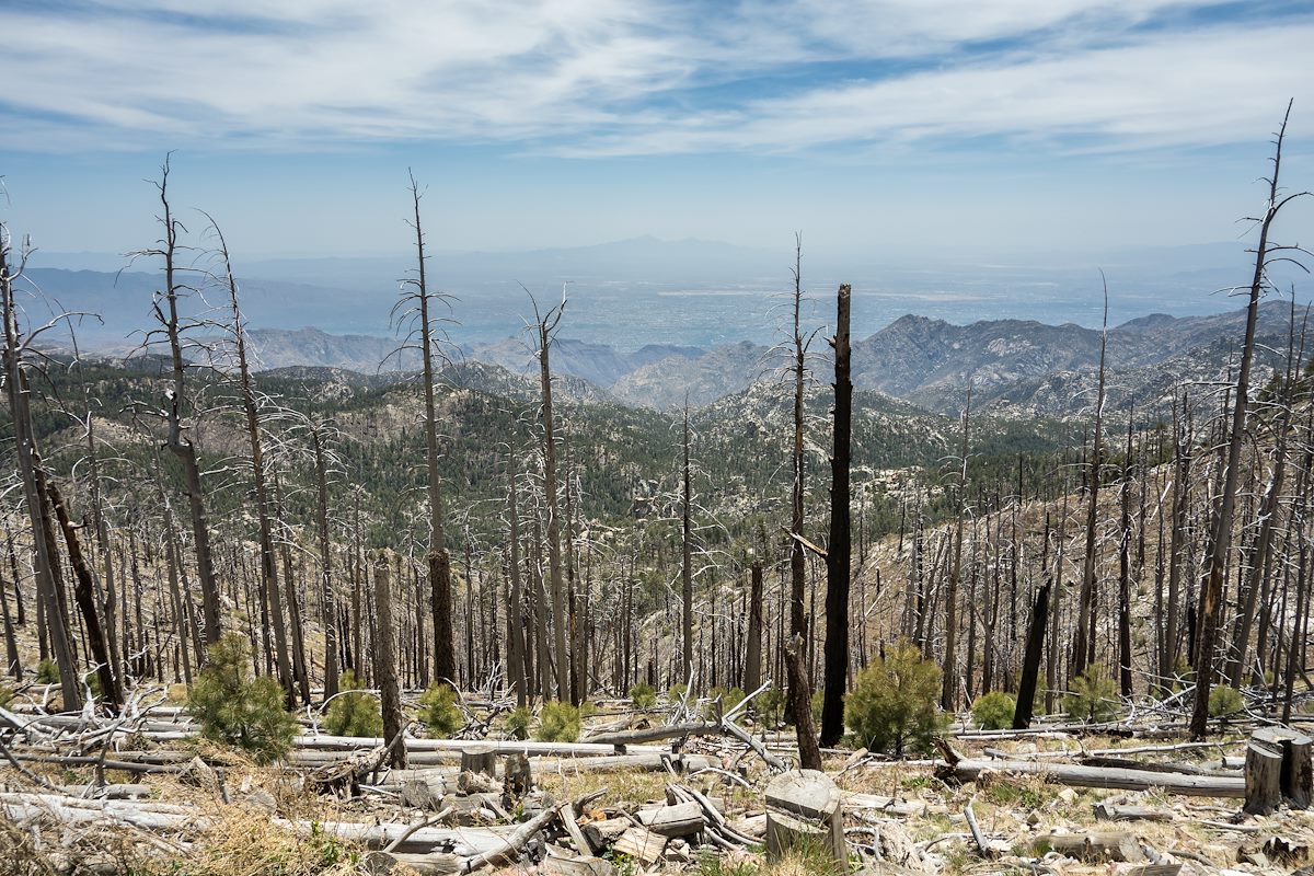 2014 May View from Radio Ridge