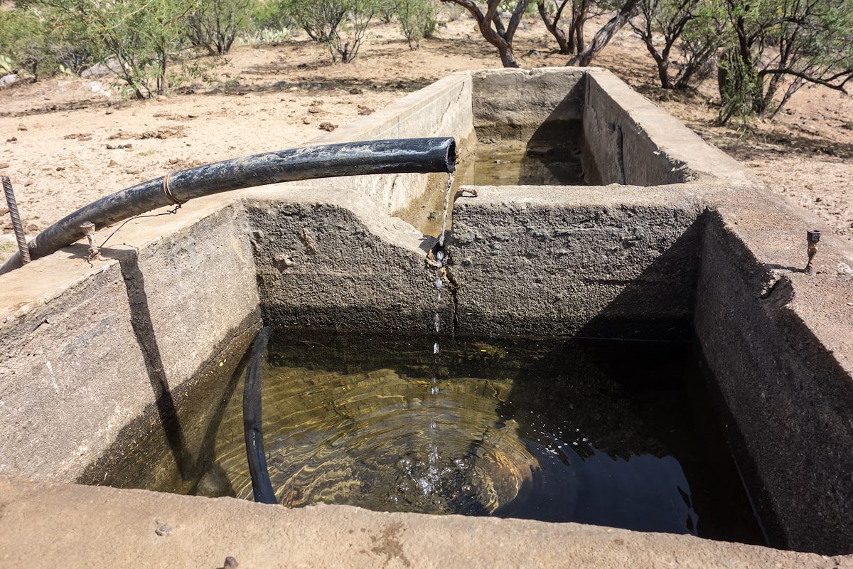 2014 May Wooden Trough Spring Tank