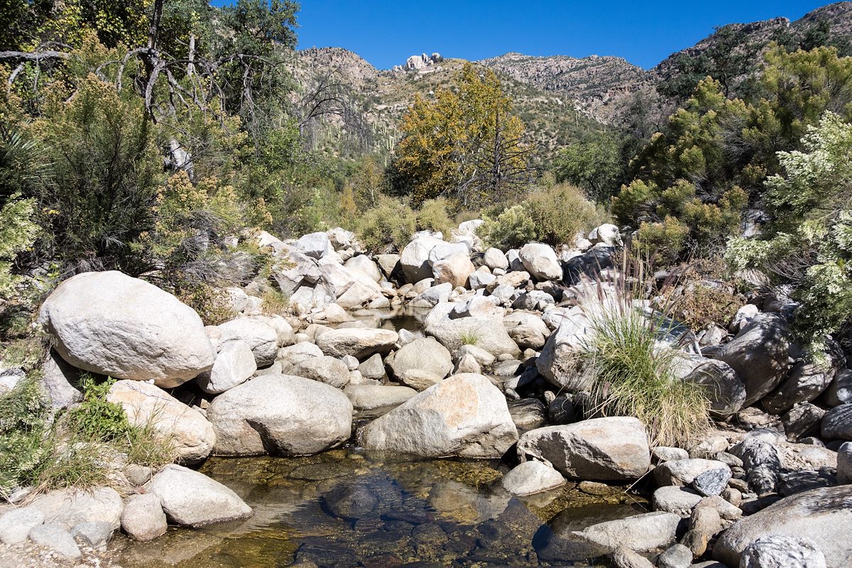 2014 November Cold water in Sabino Canyon on the West Fork Trail near the East and Wet Fork Junction