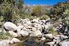 2014 November Cold water in Sabino Canyon on the West Fork Trail near the East and Wet Fork Junction