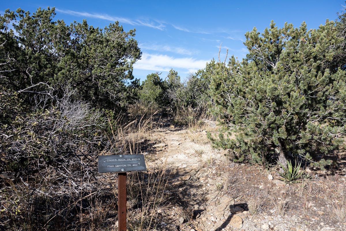 2014 November Finger Rock and Pima Canyon Trail Junction
