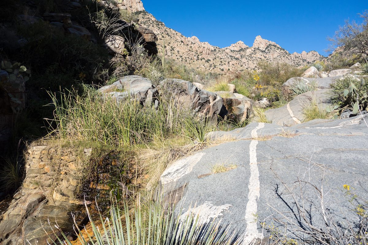 2014 November First Dam