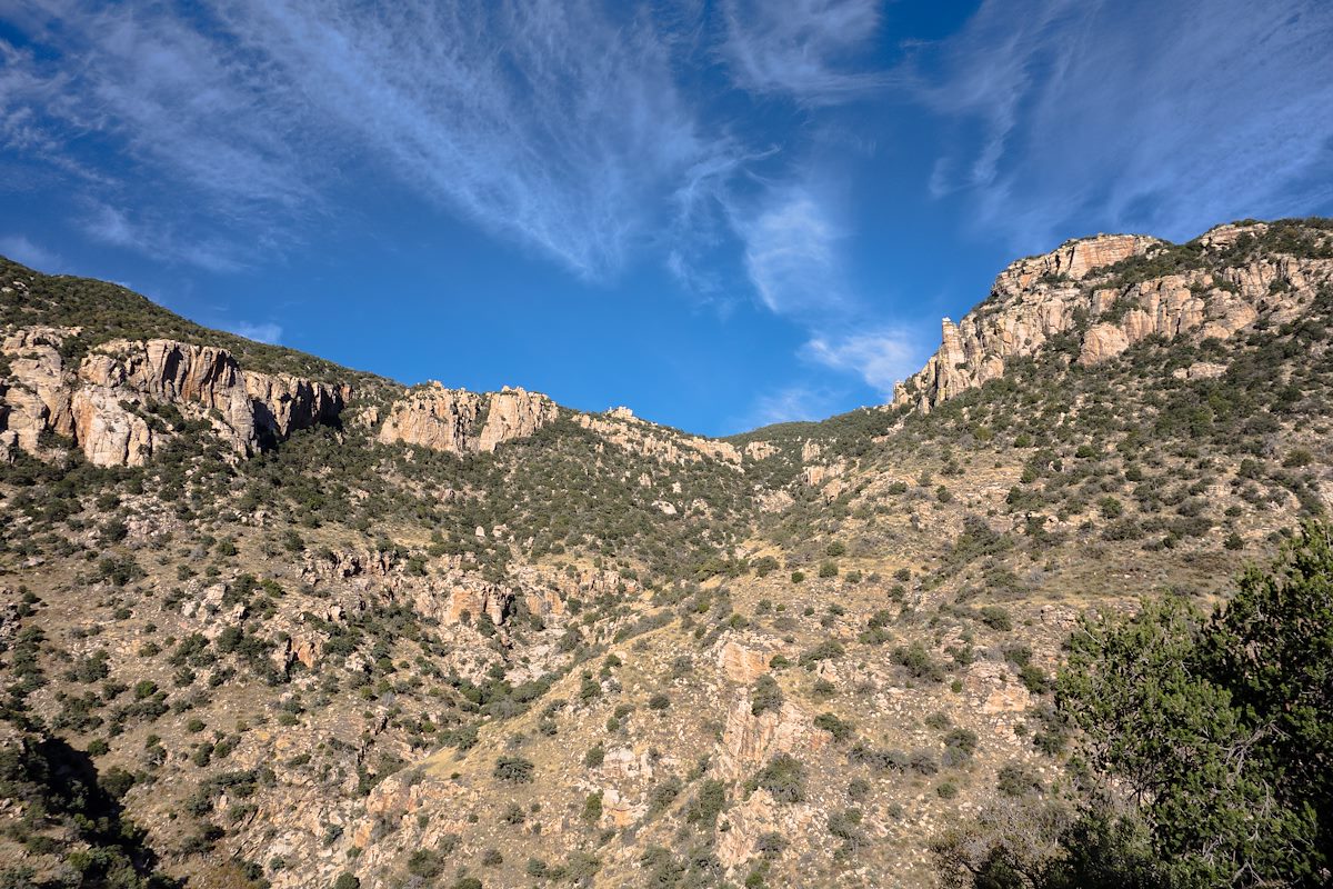 2014 November Looking up Finger Rock Canyon from the Finger Rock Trail