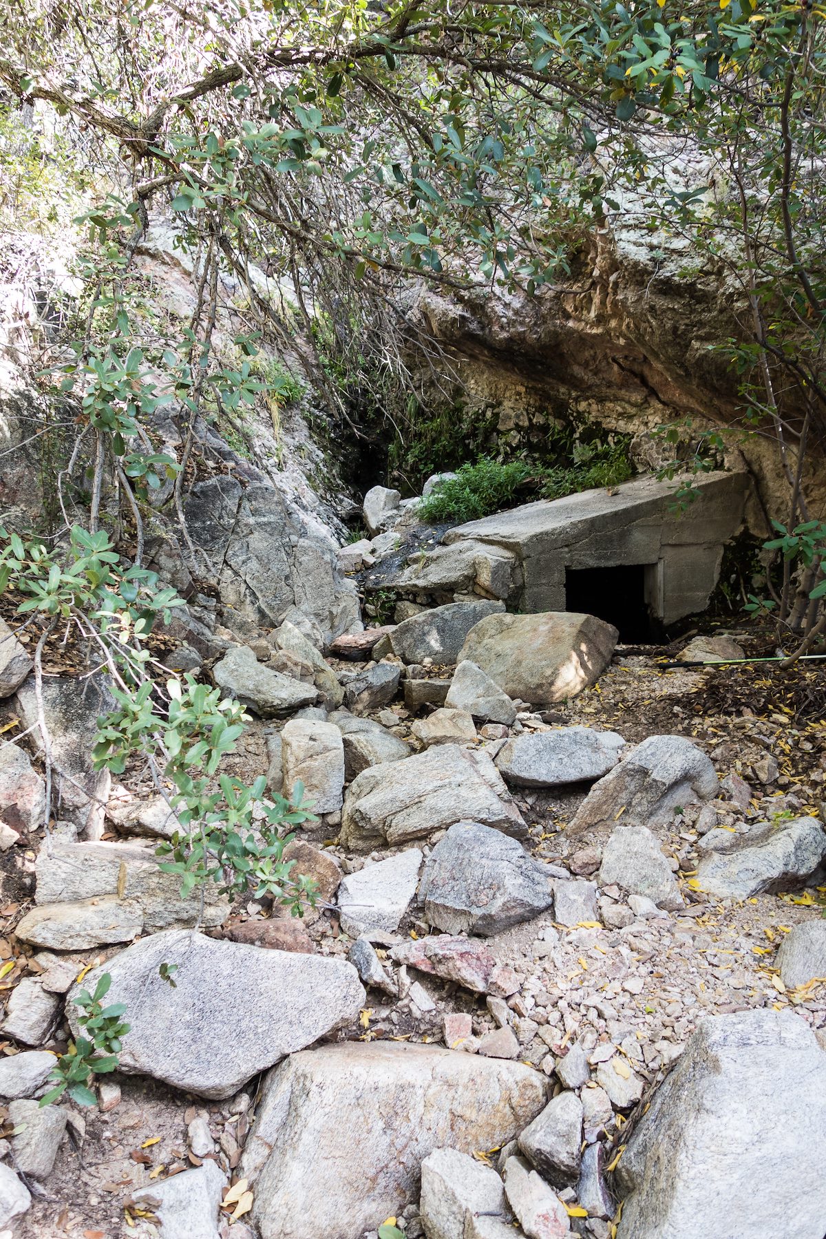 2014 November Pima Spring Tank