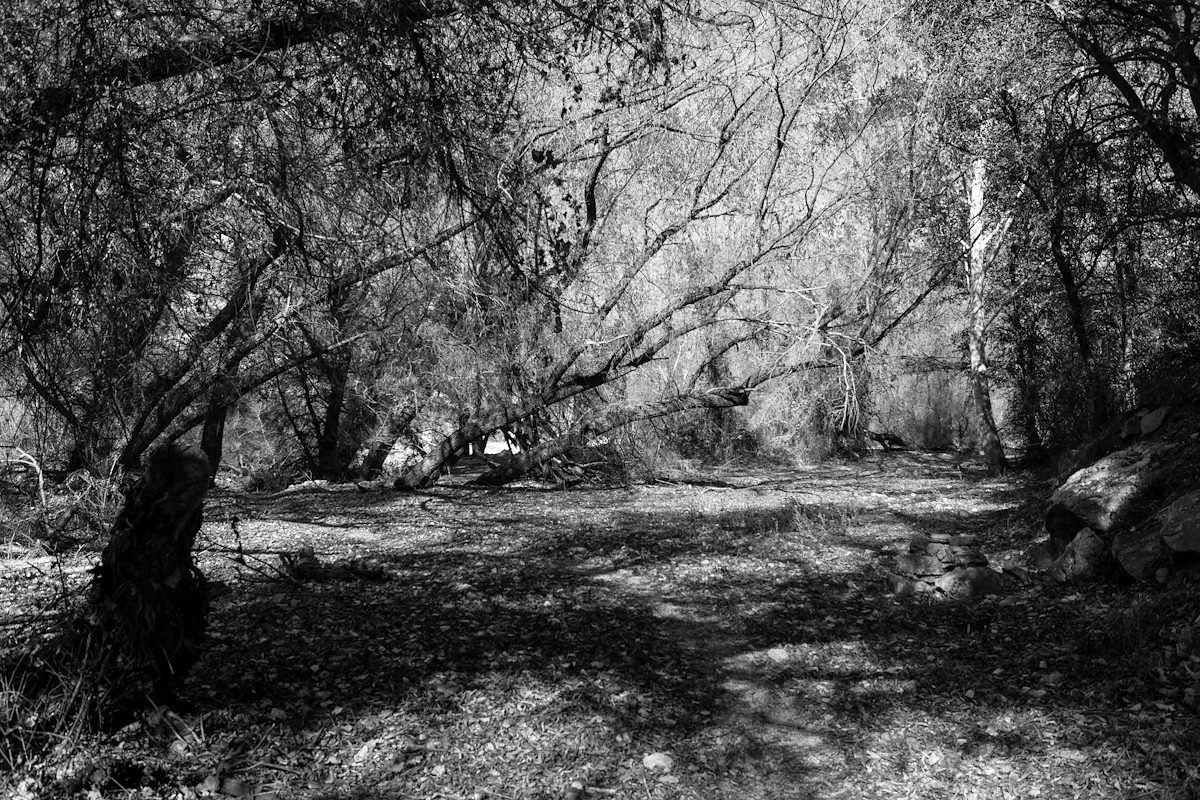 2014 November Sycamore Reservoir Area