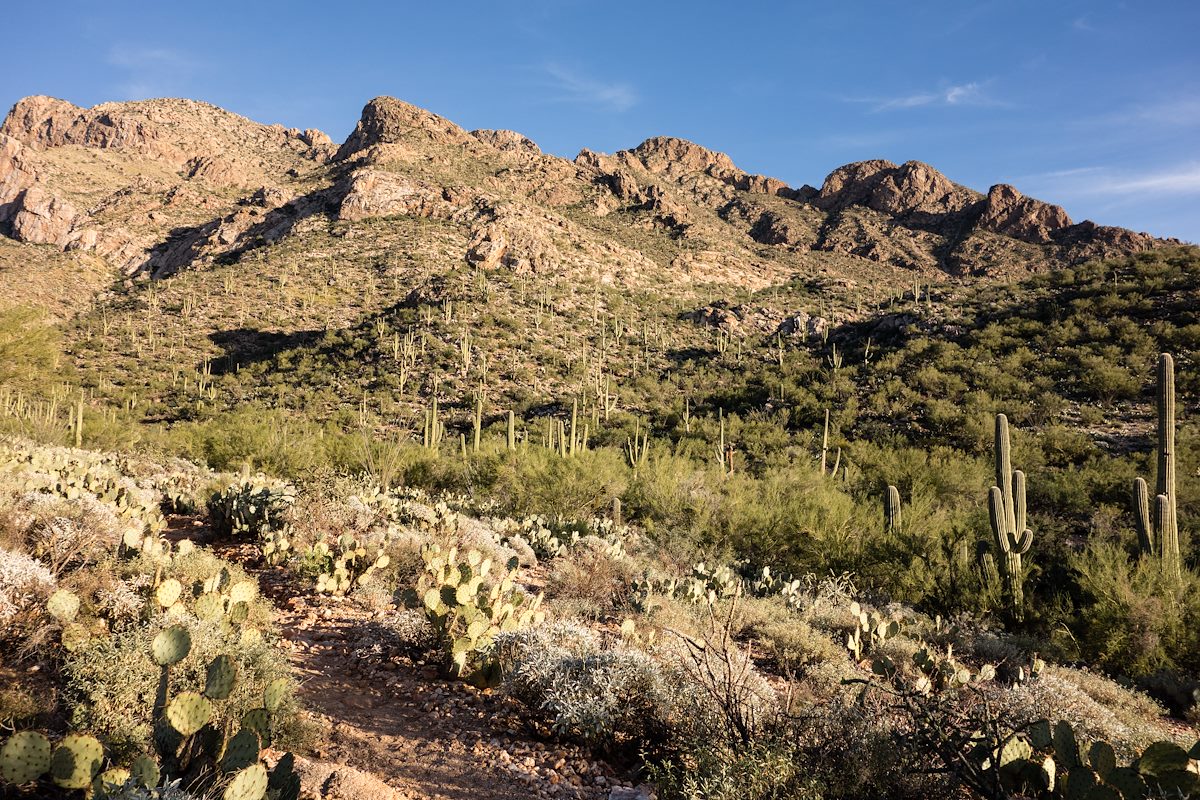 2014 November View from the Linda Vista Trail