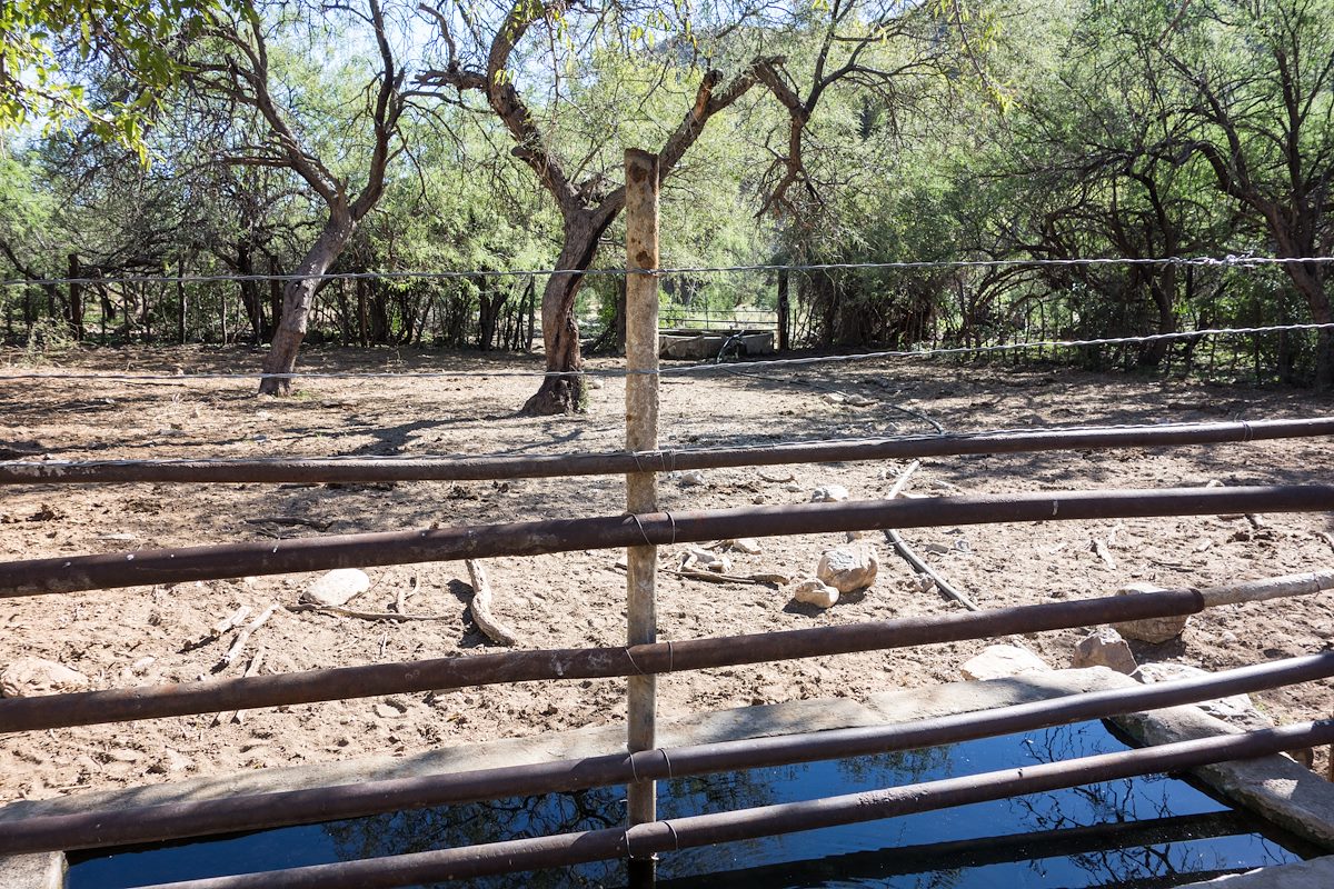 2014 October Corral at the Davis Spring and Evans Mountain Trail Junction