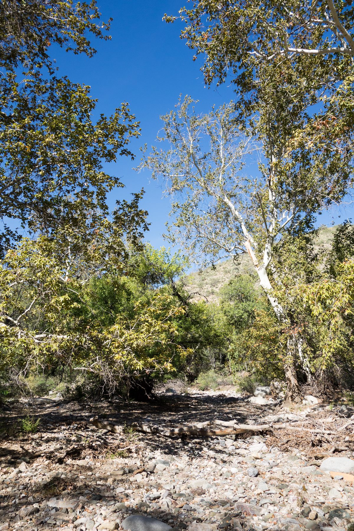 2014 October Edgar Canyon