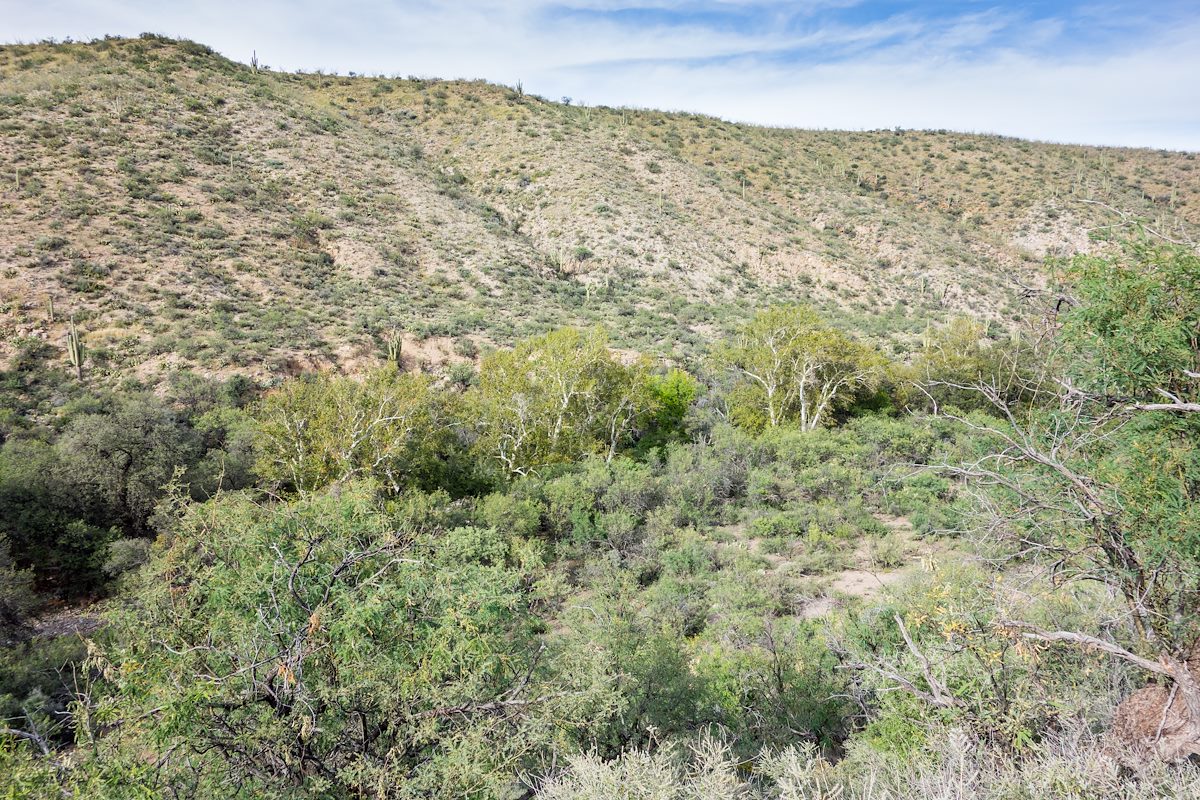 2014 October Looking down in Edgar Canyon