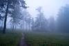 2014 October Meadow Trail covered in Clouds