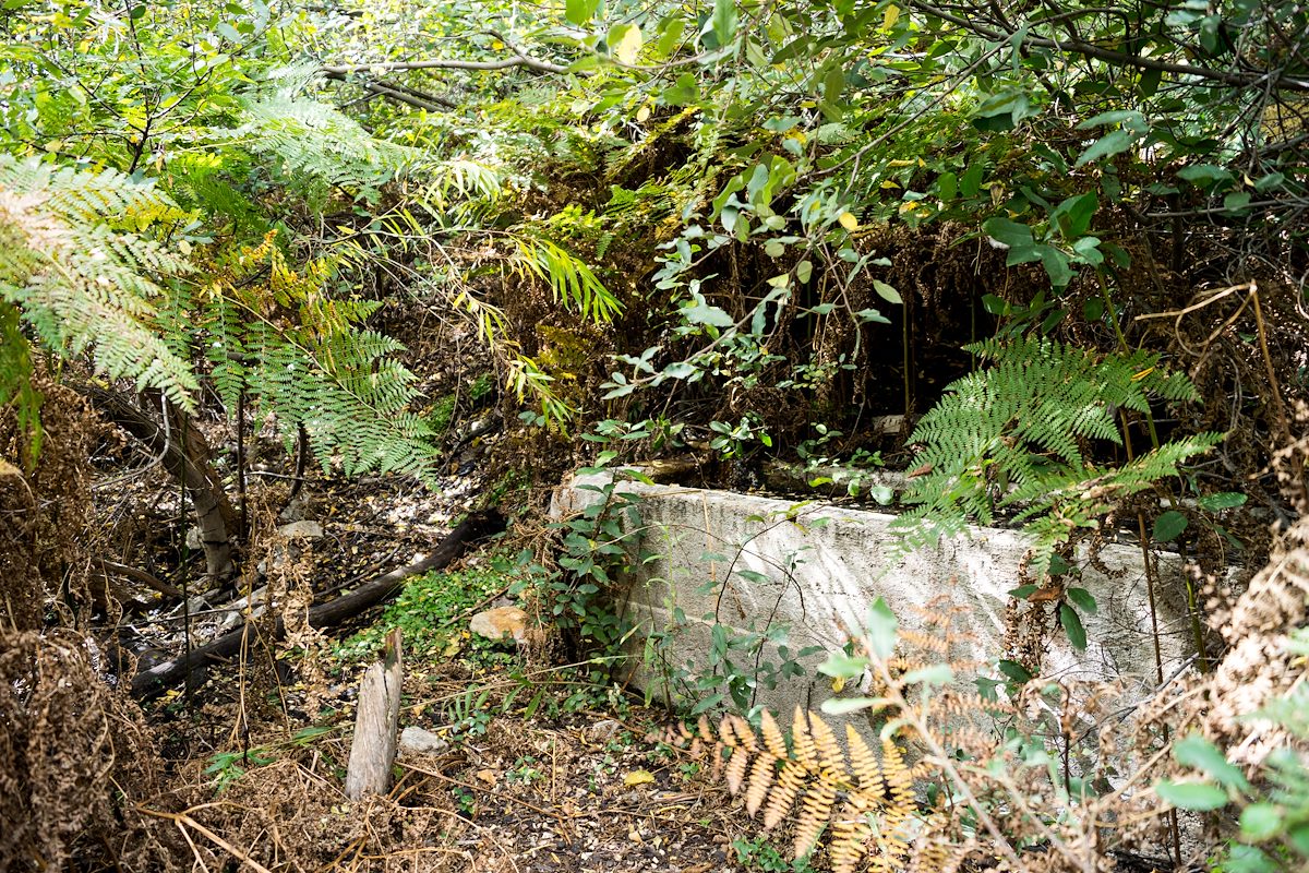 2014 October Mud Spring Tank