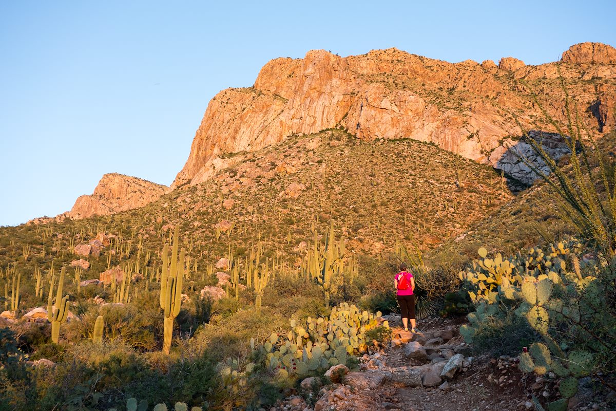 2014 September End of the day light on the Linda Vista Trail